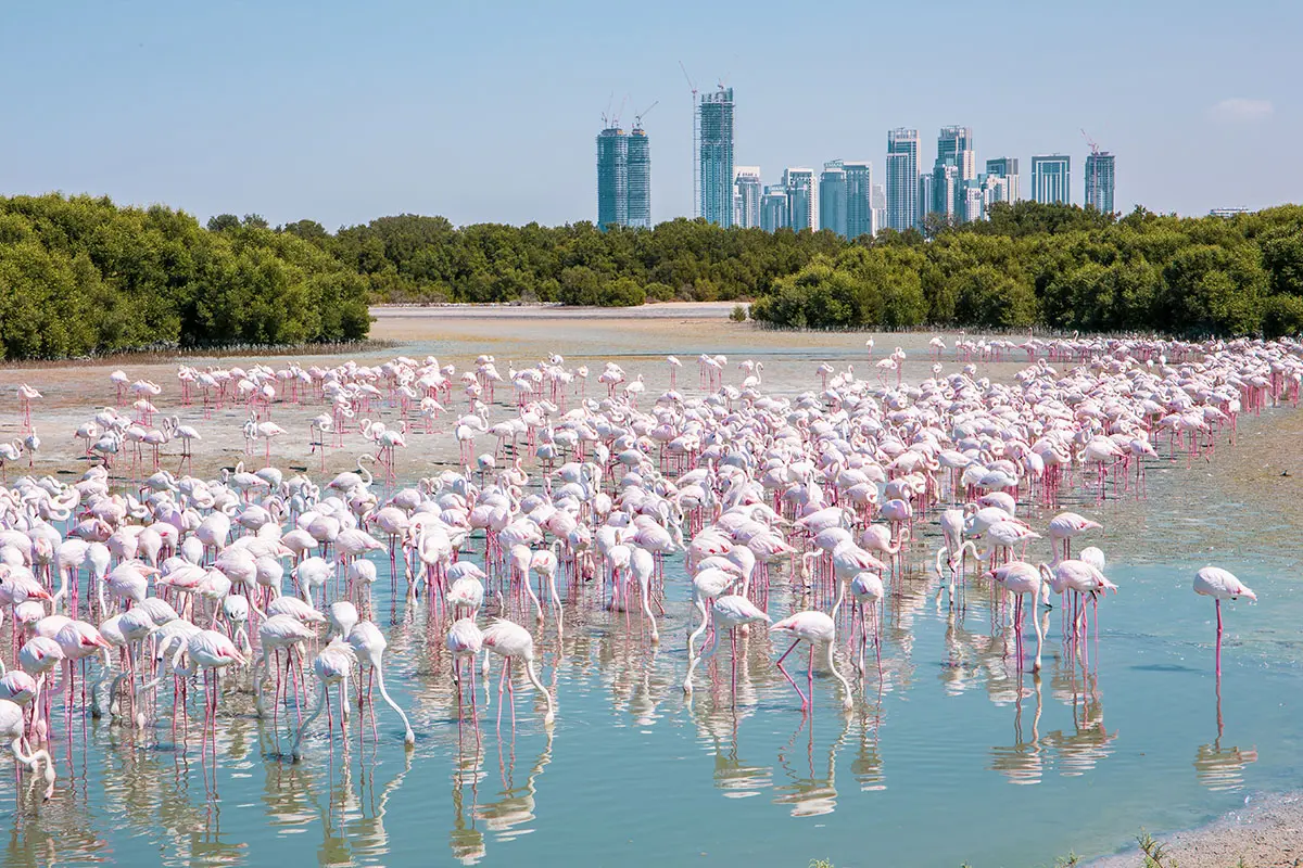 ras al Khor